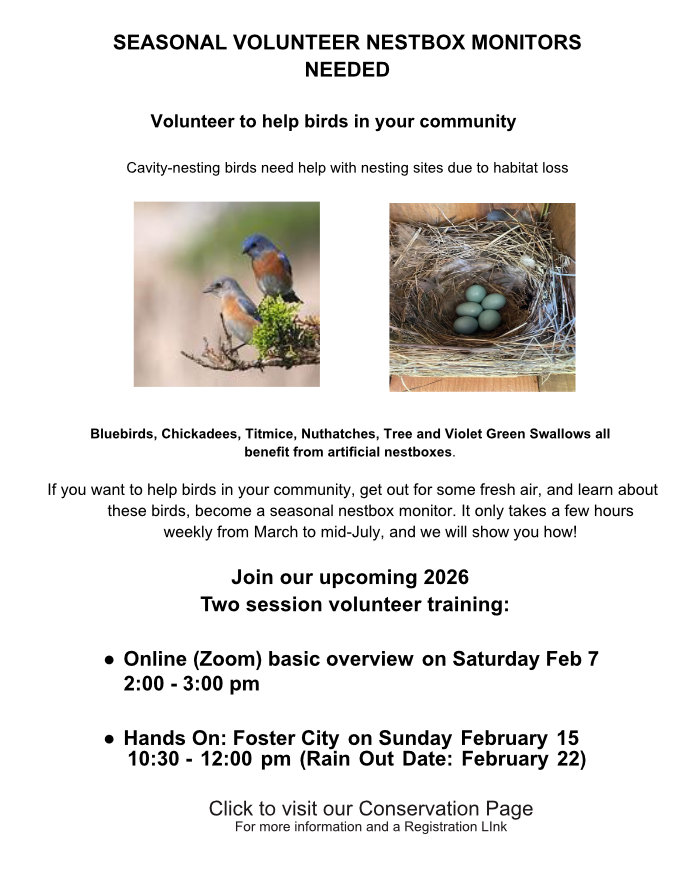 Nestbox Training flier