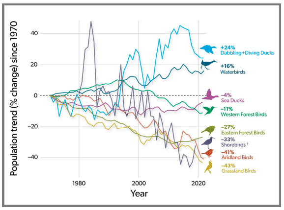 population trends